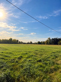 Działka Sprzedaż Brańszczyk