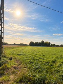 Działka Sprzedaż Brańszczyk